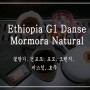 4/29 - 금주 추천 로스팅(싱글) - 에티오피아 G1 모모라 - 그린그린 / 대전로스터리카페