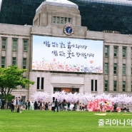 스타벅스 와 함께하는 2019 서울시 서울 꽃으로 피다 캠페인