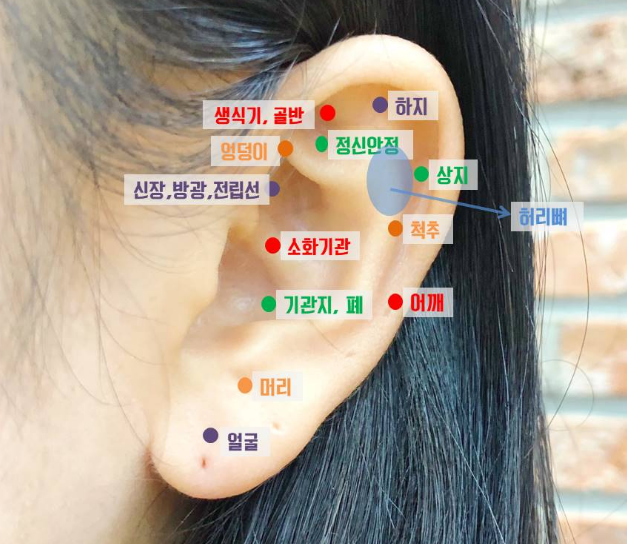 신체부위 별 귀의 혈자리로 귀 건강을 알아보자! : 네이버 블로그