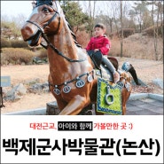 대전 근교 아이와 가볼만한곳 <논산> 백제군사박물관