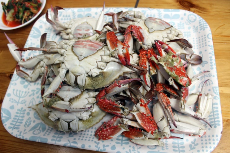 갯가재 + 참소라숙회 + 꽃게찜 : 네이버 블로그