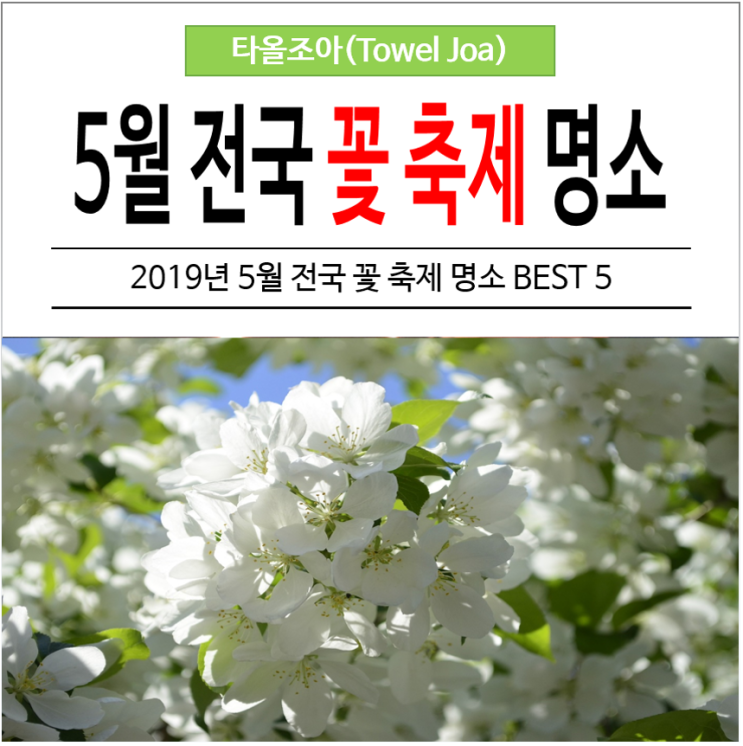 2019년 5월 전국 꽃축제 명소 BEST 5 : 네이버 블로그