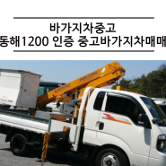 바가지차중고 - 동해1200 인증 중고바가지차매매