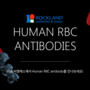 [Rockland] 진단용 정량실험에 적합! Human RBC Antibodies
