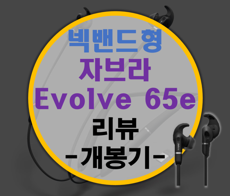 뛰어난 통화품질 자브라 Jabra Evolve 65e 리뷰 -개봉기- : 네이버 블로그