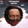 Thundercat - A fan's mail(Tron song suite II)