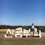 여행(travel to_Jeju)_제주한바퀴 3박4일(13)_제주여행, 제주도, 산굼부리, 제주갈대밭, 제주억새풀, 서귀포 갈대, 카페인링거, 공항옆카페, 제주시카페, 제주맛집