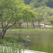 북서울꿈의숲 한적하게 오후 산책