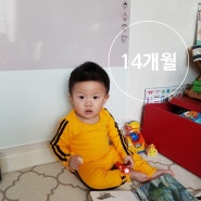 수월(?)해지기 시작하는 13개월 아기, 지한이의 성장일기 (생후 14개월되는날까지)