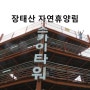 대전 나들이 장태산 자연휴양림 스카이타워