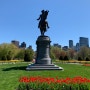 2019 April, Boston Public Garden