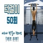 턱걸이 50개 영상 + 초보자 교육영상 (치닝디핑 有)