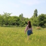 [을숙도 청보리밭 축제/5월 부산 피크닉] 을숙도 생태공원 가는방법