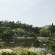 서울 아이와 가 볼 만한 곳 보라매공원 주차장 팁!