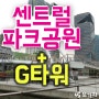 인천 송도 가볼만한 곳 명소 센트럴파크공원+G타워 [주말나들이 국내여행지]