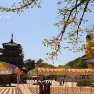 속리산 법주사 가는 길