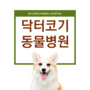 대전탄방동동물병원 강아지 고양이 치과도 닥터코기!