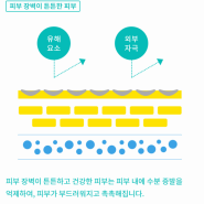 피부장벽을 알면 피부가 좋아진다! by화공남