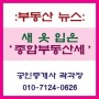 [부동산 뉴스] 새 옷 입은 '종합부동산세' 어떻게 줄일까?