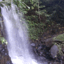 인도네시아. 단짠단짠 발리 1주일 자유여행 - 5(Waterfall, Terrace River Pool Swing, iiga warung, 우붓시장)