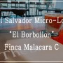 5/14 - 엘살바도르 커피(El Salvador Micro_Lot Finca Malacara C) - 금주추천로스팅 / 그린그린