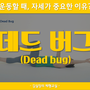 울산체형교정 코어운동 데드버그(Dead Bug)