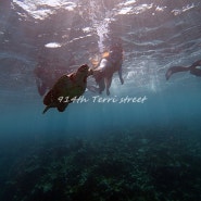 [Maldives] 08May2019 풀데이투어 두번째(feat. 거북이랑 수영했어요)