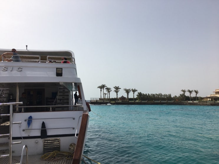 [세계일주 Day+233] 이집트 후루가다 - 돌고래 투어, 돌핀 하우스에서 돌고래랑 스노클링! : 네이버 블로그