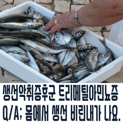 생선악취증후군 트리메틸아민뇨증 Q/A; 몸에서 생선 비린내가 나요. : 네이버 블로그