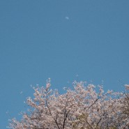 0413 :: 봄날의 일상 (x100f)