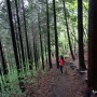 ［장성］ 축령산/편백나무 숲이 우거진 힐링 산행