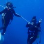 오키나와 체험다이빙: 테바다이브 2년째 방문