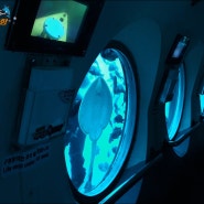 제주잠수함관광 ~ 마라도잠수함 전망창은 두께가 얼마?