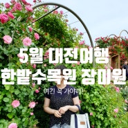한밭수목원 장미원, 5월 대전여행 여긴 꼭 가야 해!