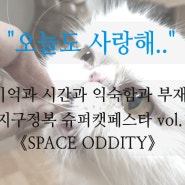 지구정복 슈퍼캣페스타 볼거리!!고양이와 사람이 함께 만드는 감성 "SPACE ODDITY"