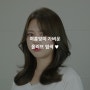 CHOPHAIR 페이스컷과 애쉬카키로 한결 부드럽게