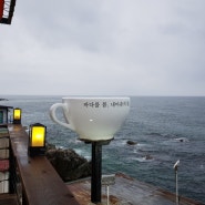 영덕 분위기좋은 카페 바다전망이 멋진 카페봄