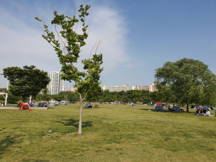반포한강공원 피크닉 / 한강라면, 돗자리 펴놓고 배달음식먹기 좋은 곳 : 네이버 블로그 반포한강공원 피크닉 / 한강라면, 돗자리 펴놓고 배달음식먹기 좋은 곳 : 네이버 블로그