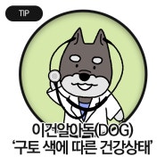 [이건알아독] 강아지 구토 색에 따른 건강상태