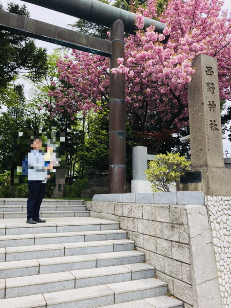 [삿포로] 니시노신사西野神社(19.5월 후기)
