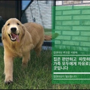김포한강신도시 운양동 단독주택 전세 1세대(집앤마당2차)
