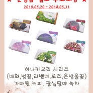 신상품 하나카오리 시리즈 입고 및 무료배송