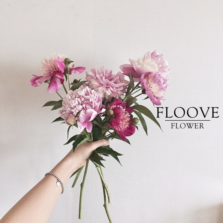 [꽃정보: 작약] 작약 꽃말, 작약부케, 조화작약, 작약 종류 효능 - Floove flower 플루브 플라워 : 네이버 블로그