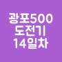 헬로우드림 광고포스팅 500 도전기 14일차