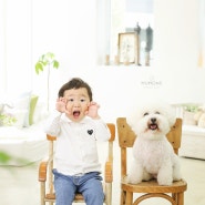 수원 용인 광교 동탄 강아지와 아기 사진촬영스튜디오