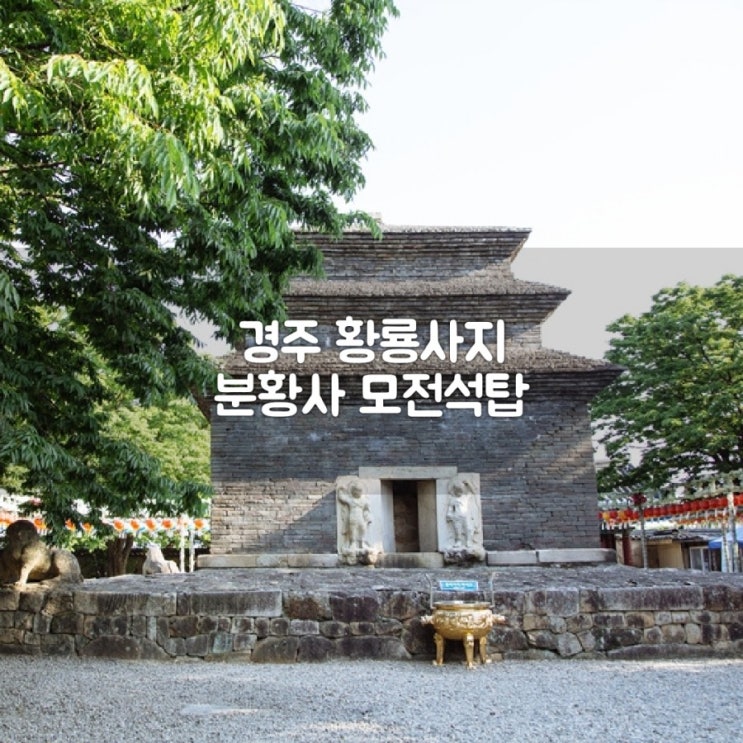 경주 가볼만한곳 황룡사지 청보리밭 분황사모전석탑