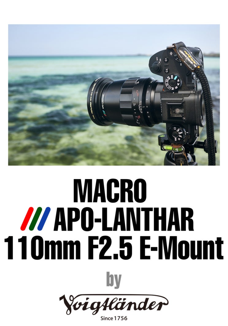 보이그랜더 MACRO APO-LANTHAR 110mm F2.5 E-Mount / Voigtladner MACRO APO ...