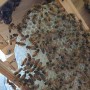 아카시아꿀 을 이용한 벌집꿀 만들기 재도전