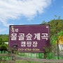 30th 캠핑 - 가평 물골숲계곡 캠핑장(2019.05.17. ~ 05.19.)