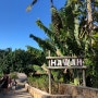 (하와이 여행 정보) 5박 6일 동안 자유여행 다녀온 소소한 후기 및 여행경비 공개